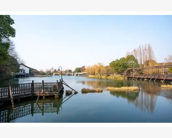 中药治疗龋齿方剂，中医科普
