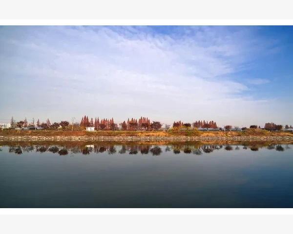 儿童吃什么可以有效缓解痰液？中医科普带你了解消痰食物！