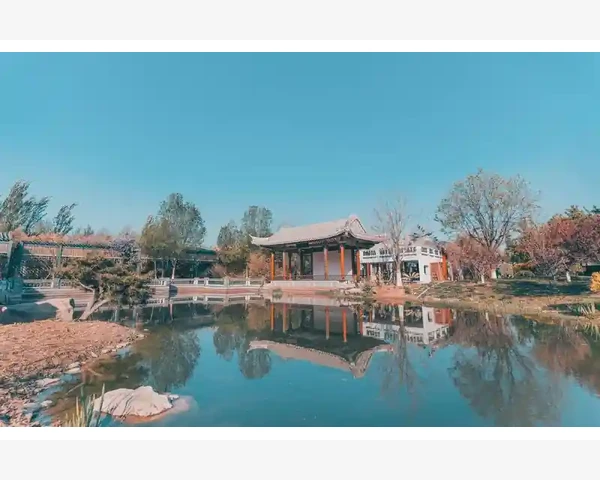 脸色蜡黄怎么调理？中医帮你找回健康光彩